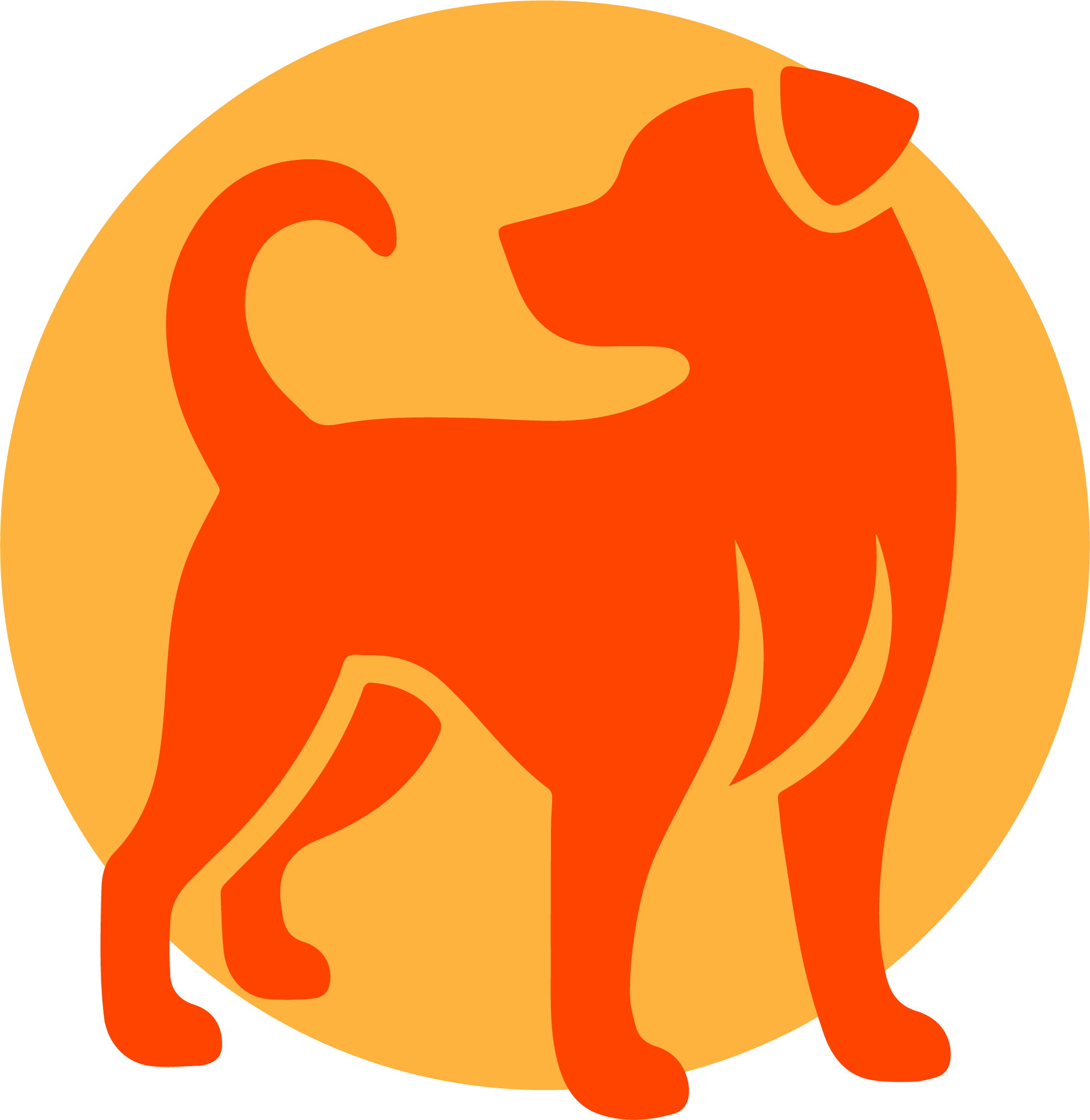 Canine Living Life